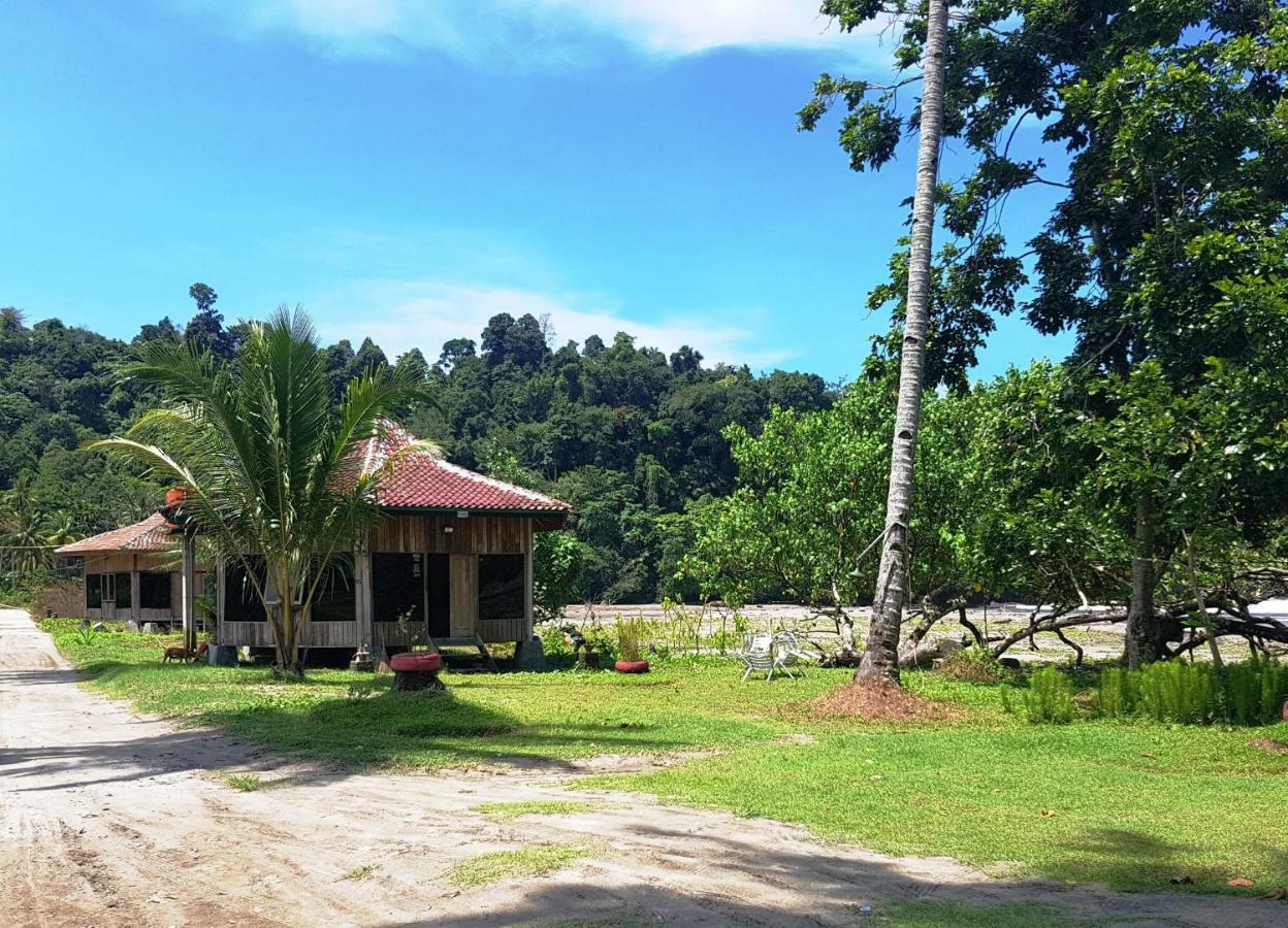 Revive Lampung Krui King Resort Екстериор снимка
